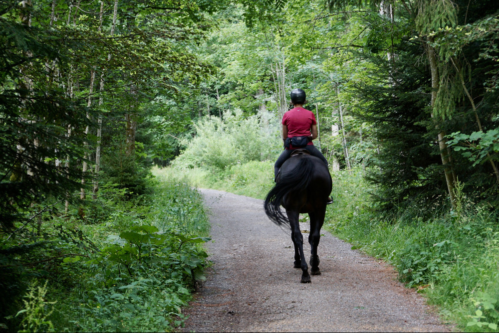 Home-Health-Care-Consultants-Office-Manager-Unit-Horseback-Riding