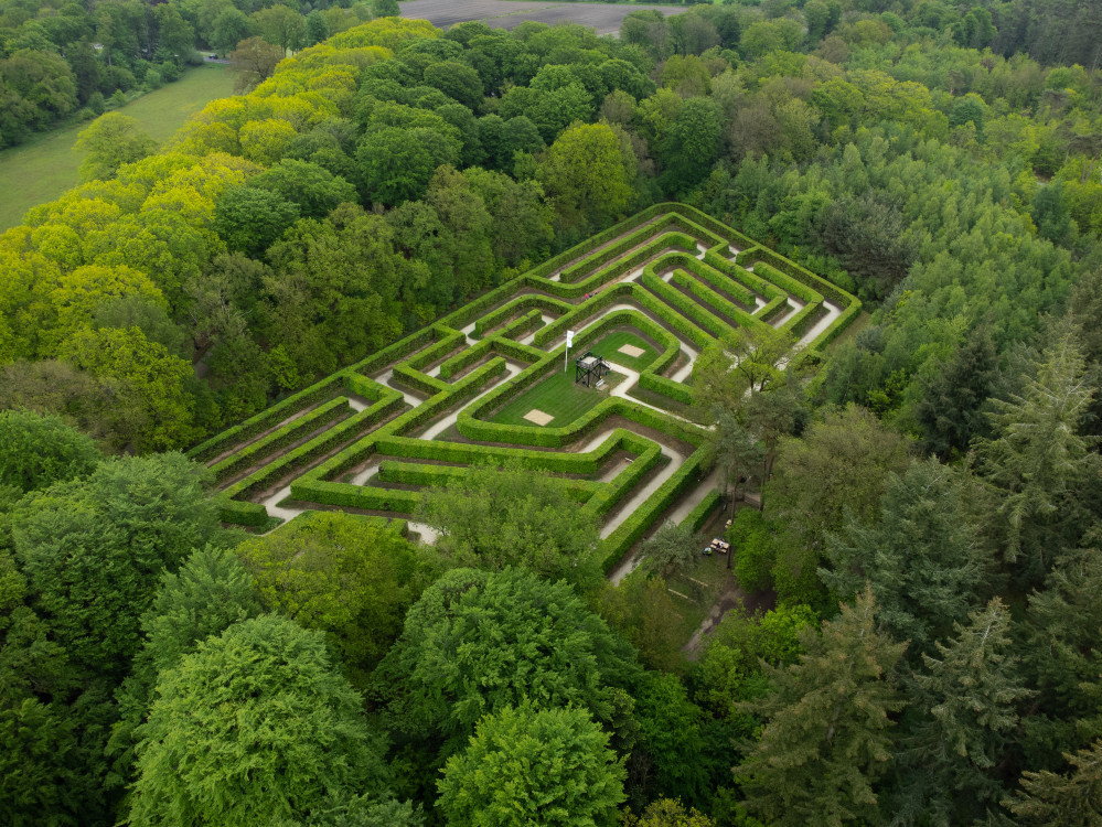 Focus-on-Your-Dream-How-Do-You-Find-a-Way-Out-of-the-Maze-Maze